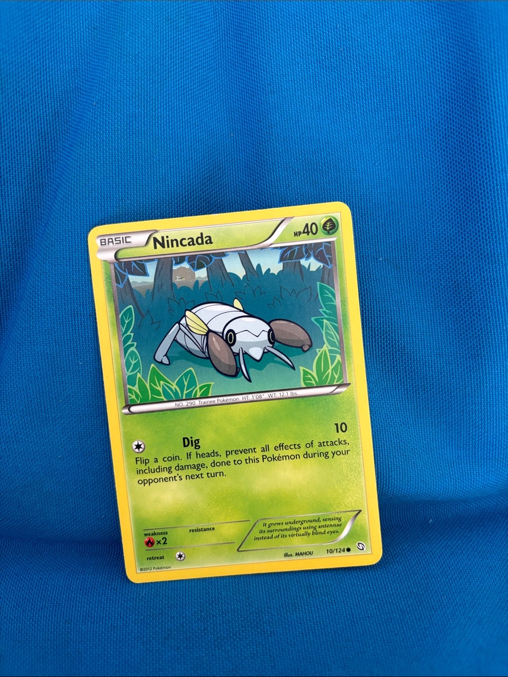 Pokémon Cards Nincada HP 40 Grass Type Pokemon 2012 NWOTS